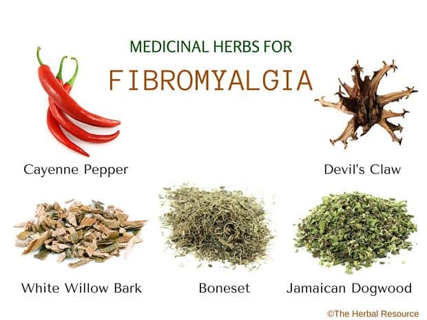 Fibromyalgia Treatments Natural Remedies Fibromyalgia Treatments Natural Remedies