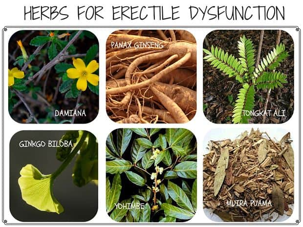 Natural Herbs for Impotence or Erectile Disfunction Treatment