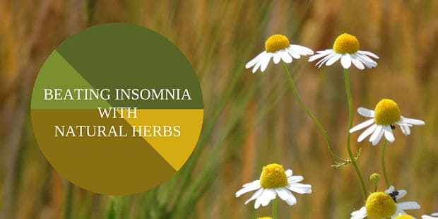 Medicinal Herbs For Insomnia Chamomile