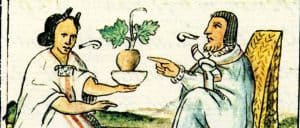 History of Herbal Medicine