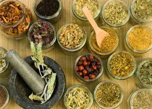 herbs for Parkinson’s disease