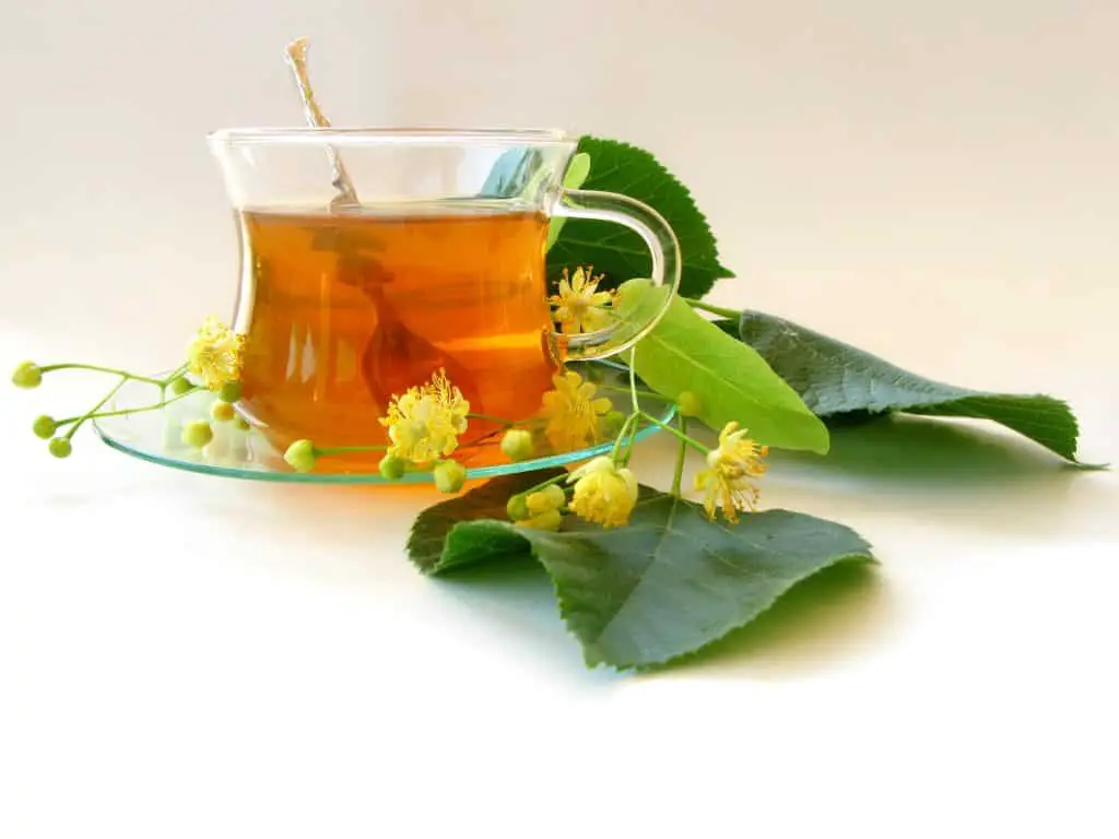 herbal remedies for sciatica