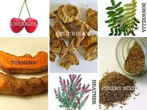 herbs for gout