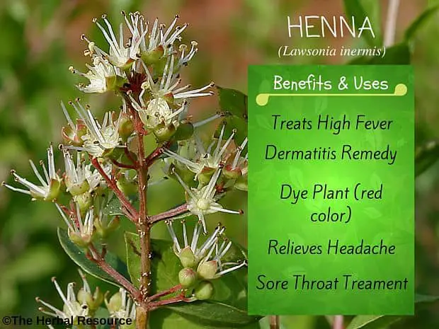 henna benefits