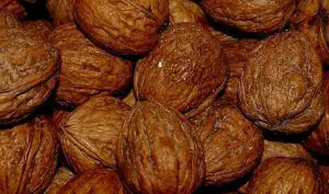 Black Walnut Uses in Herbal Medicine