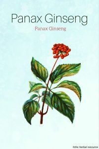 Panax Ginseng