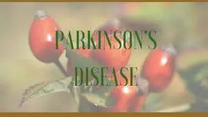 Parkinson’s disease herbs