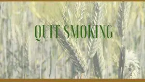 quit smoking herbs