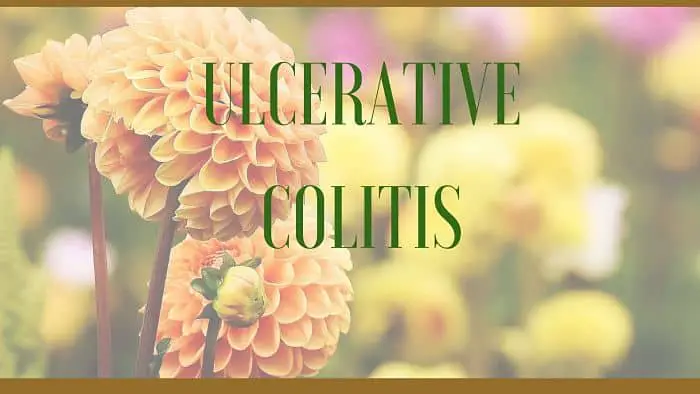 ulcerative colitis herbs