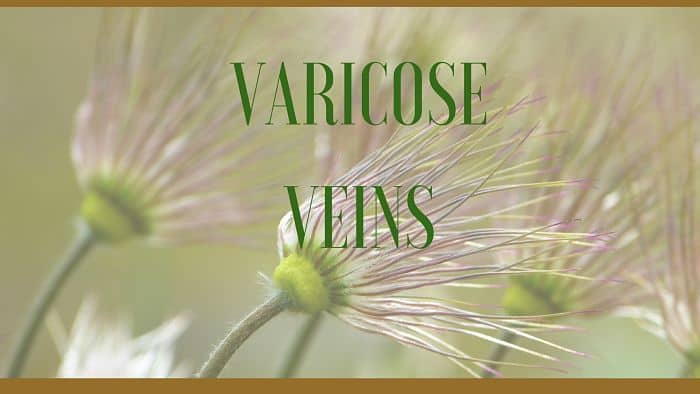 plante medicale varicoza