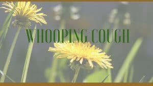 whooping cough herbs