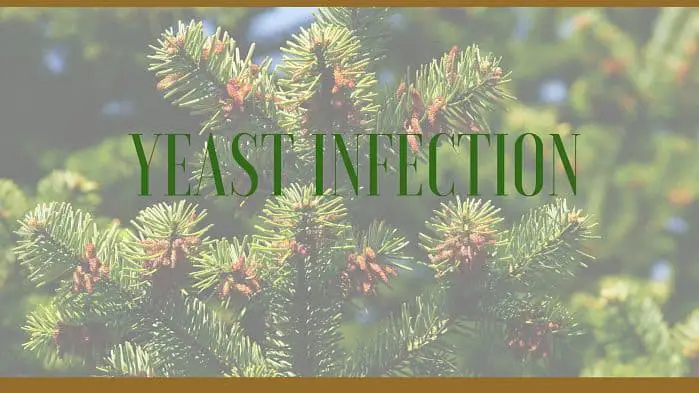yeast infection herbs