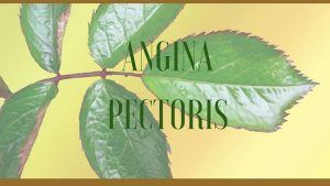 angina herbal remedy