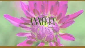 herbal remedies for anxiety