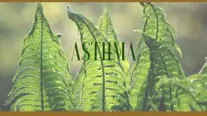 asthma herbal remedies