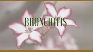 bronchitis herbal remedies