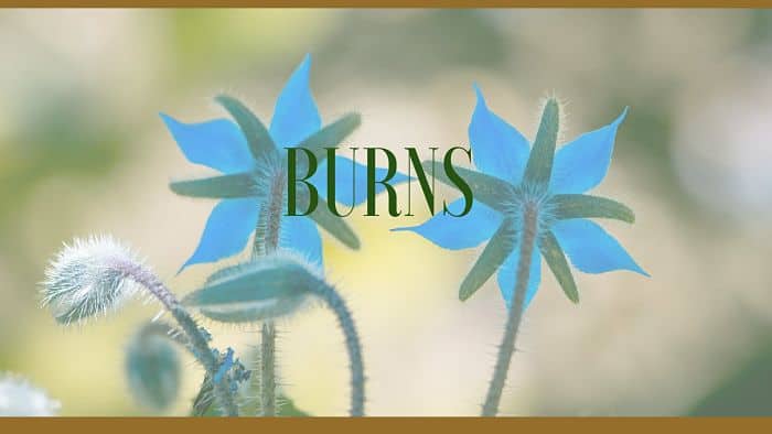 burns herbal remedies
