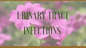 urinary tract infections herbal remedy