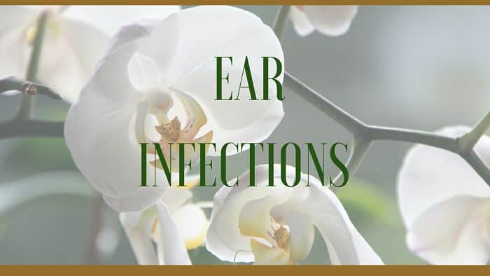 herbal ear infections remedy