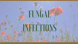 herbal remedies for fungal infections