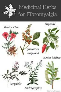 herbs for fibromyalgia