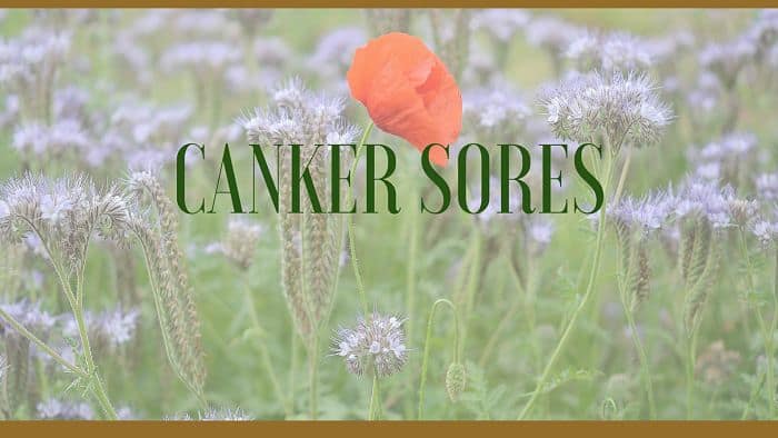 canker sores herbal remedies