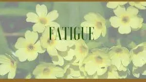 fatigue herbal remedies