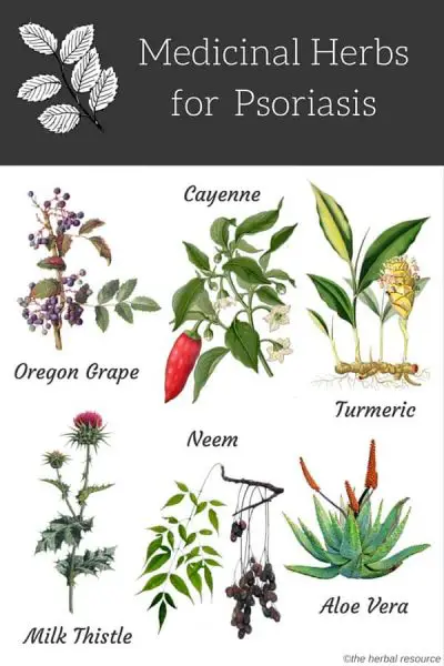 Psoriasis Medicinal Herbs