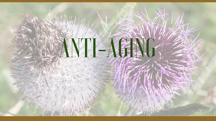 Anti-aging herbal remedies