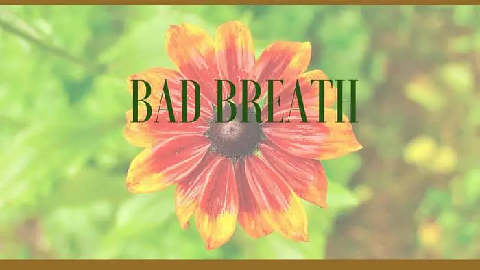 bad breath remedies