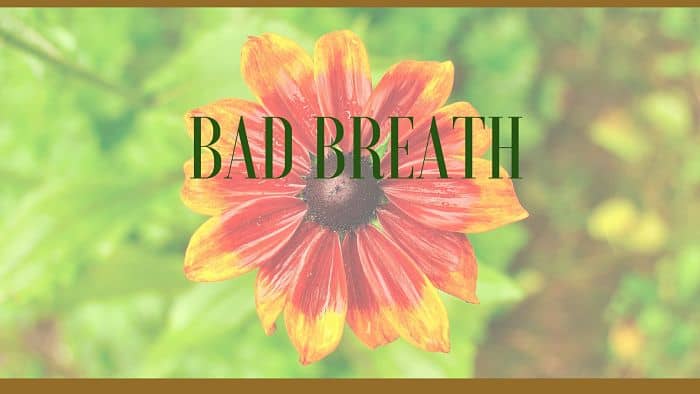 How to Get Rid of Bad Breath? - Speedy Remedies