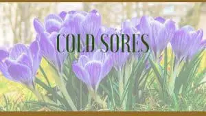 Cold sores herbal remedies