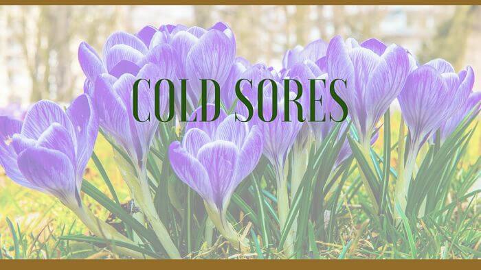 Cold sores herbal remedies