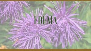 edema herbal remedies