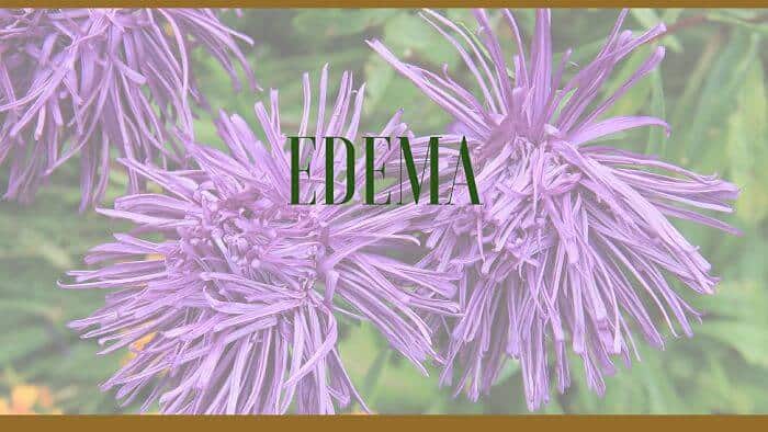 edema herbal remedies