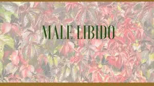 male low libido herbs