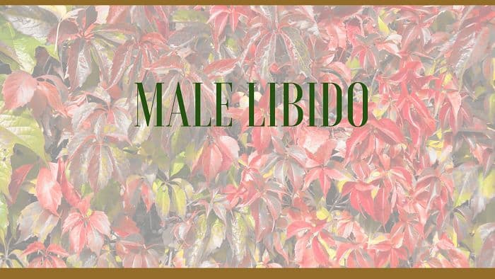 male low libido herbs