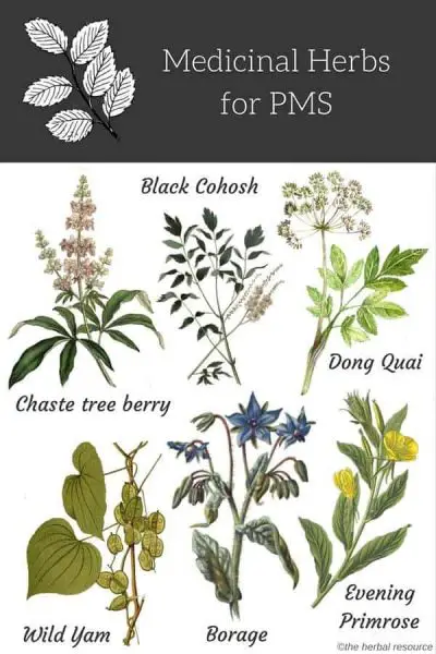 herbs for pms