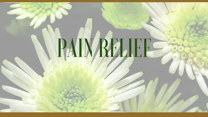 pain relieving plants