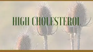 high cholesterol herbs