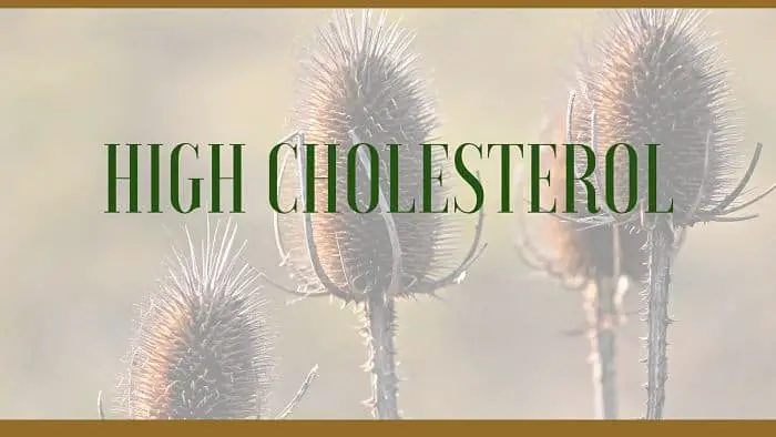 high cholesterol herbs