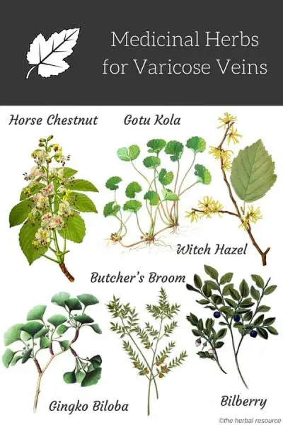 varicose veins herbs