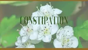 constipation herbal remedies