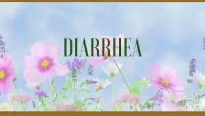 diarrhea herbal remedies