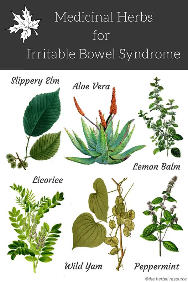 irritable bowel syndrome herbs