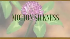 motion sickness remedies
