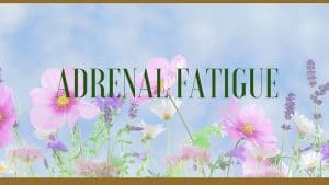 adrenal fatigue herbal remedies