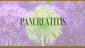 Pancreatitis Herbal Remedies