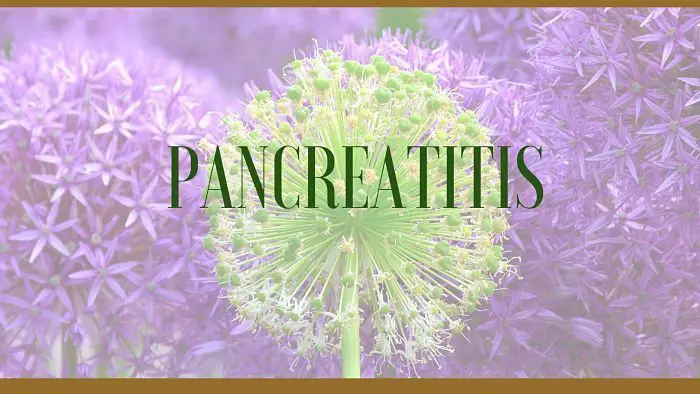 Pancreatitis Herbal Remedies