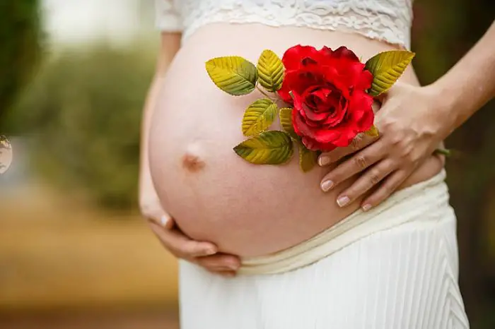 Safe Herbs During Pregnancy